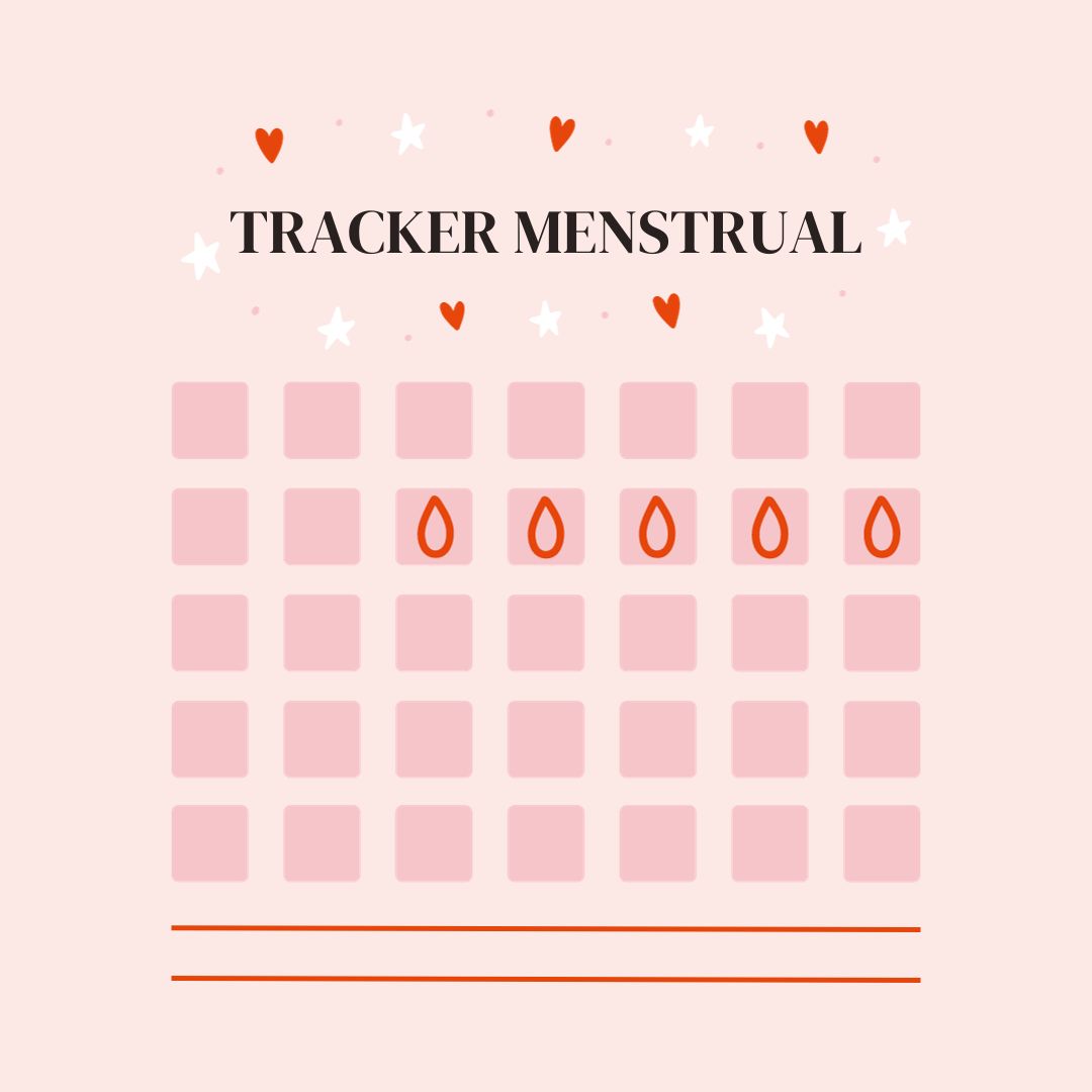 Plantilla Registro de Ciclo Menstrual